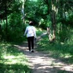 Az erdei séta rituáléja – a mindfulness és mozgás ötvözete