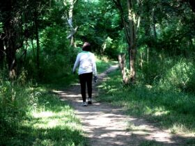 Az erdei séta rituáléja – a mindfulness és mozgás ötvözete