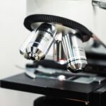 Superfood vagy marketingfogás? Divatos ételek a mikroszkóp alatt